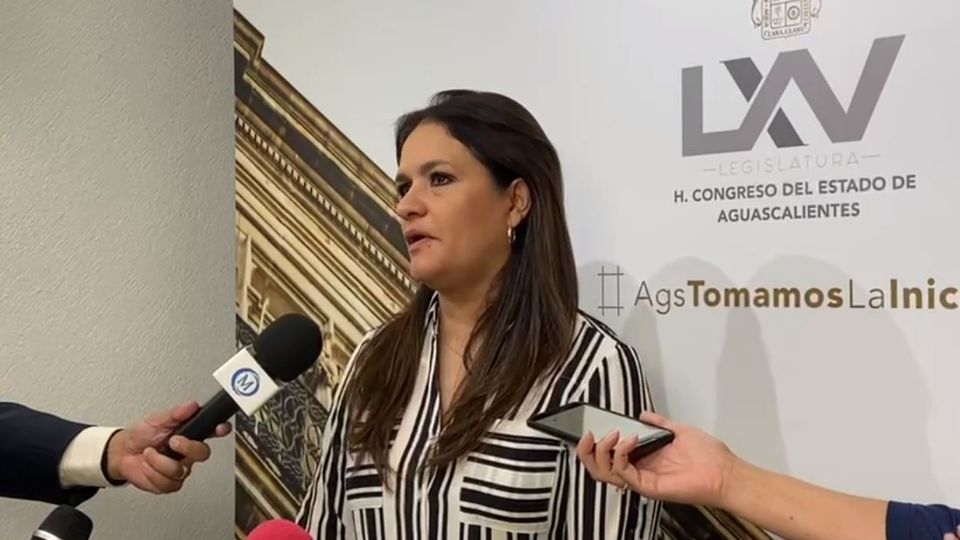 Diputada del Congreso de Aguascalientes