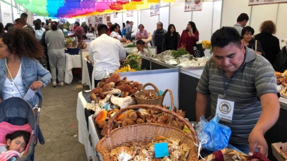 Gran variedad de hongos en la XXI Feria del Hongo