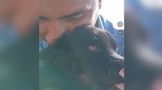 Le robaron a su perrito y lo encuentra un año después: así fue su emotivo reencuentro