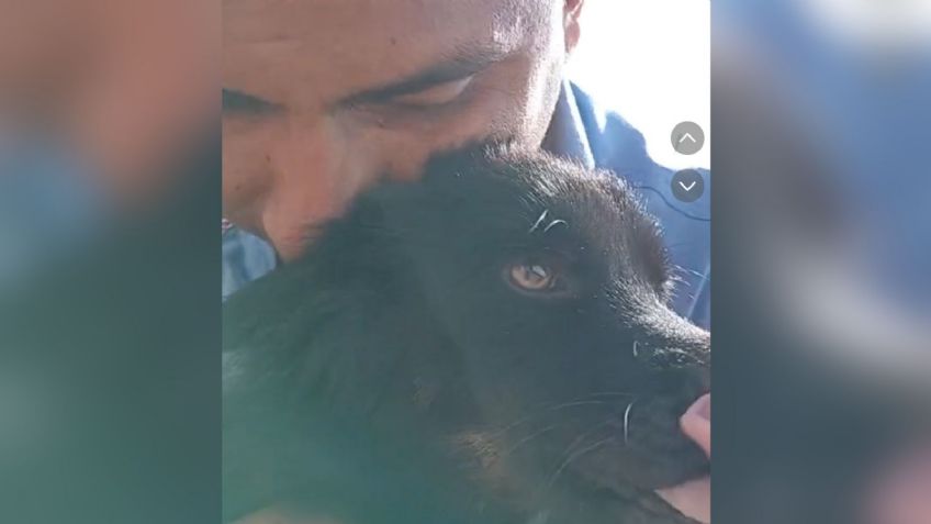 Le robaron a su perrito y lo encuentra un año después: así fue su emotivo reencuentro