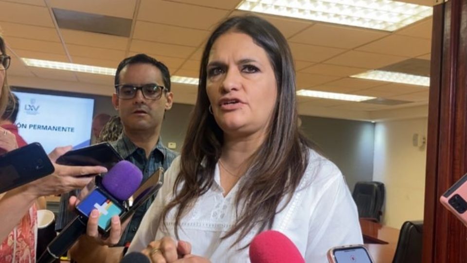 Diputada del Congreso de Aguascalientes