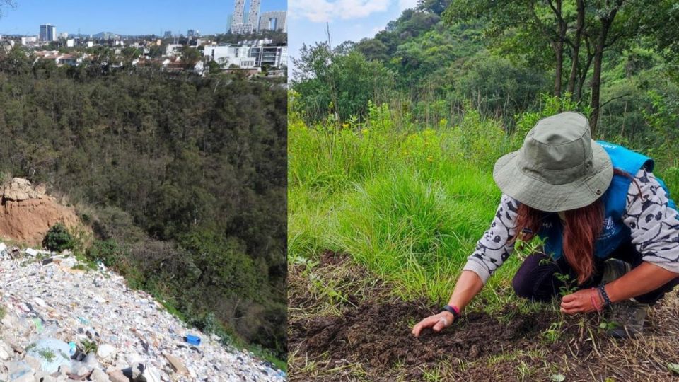 La Barranca Becerra Tepecuache comenzó labores de retiro de sólidos en junio y ahora están en la etapa de reforestación