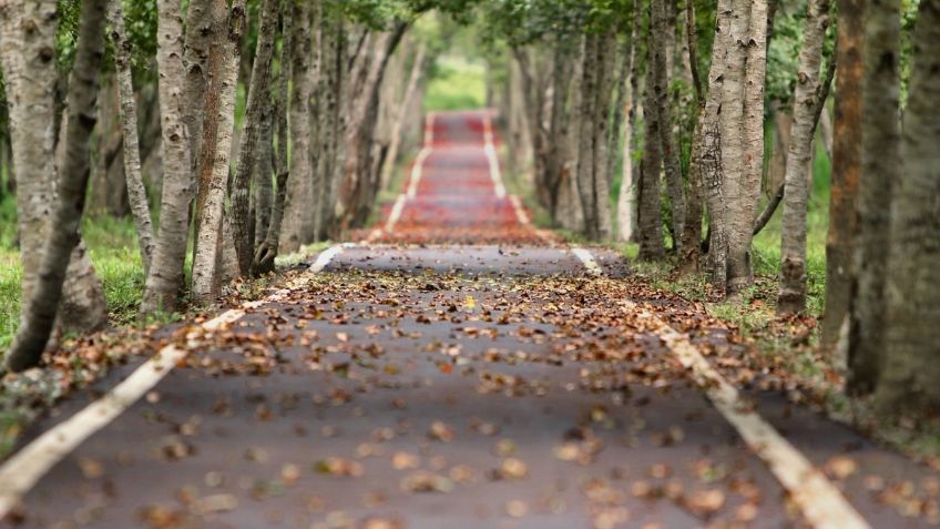 Clima en México: ¿Cuándo acaba el verano e inicia el otoño?