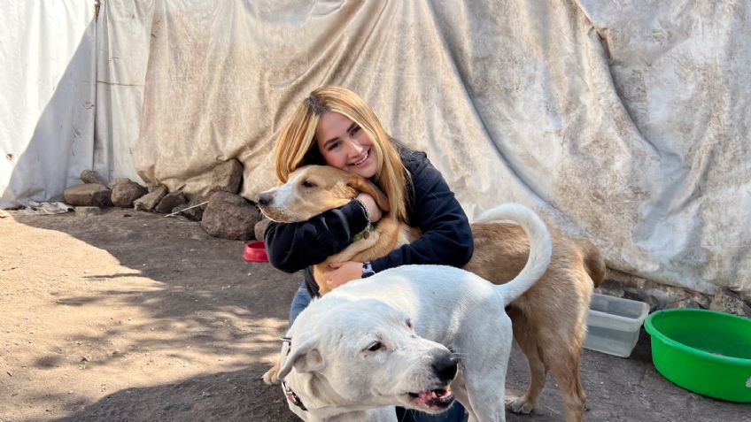 Reciclan letras en apoyo a refugios caninos