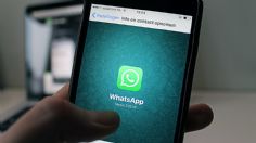 WhatsApp: ¿Qué significa la nueva sección "Tú" y cómo se instala?