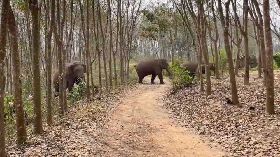 Cuando los oficiales llegaron al lugar, uno de los gigantescos ejemplares le mostró una extraña mochila.