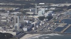 Pese a protestas, Japón vierte agua de la central nuclear de Fukushima en el mar