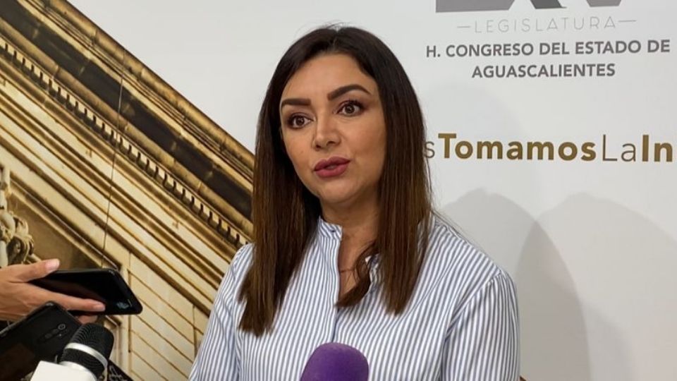 Diputada del congreso de Aguascalientes