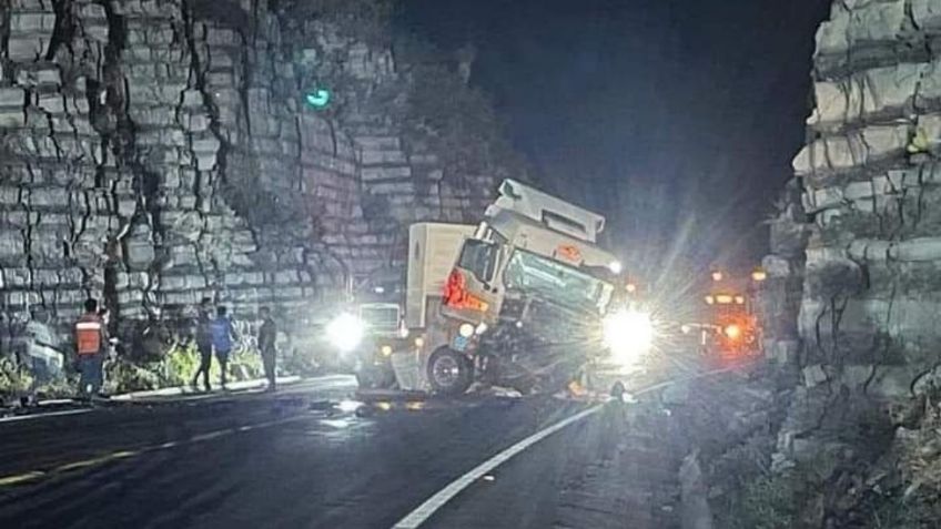 Quedó hecho trizas: un tráiler atropella a un oso y choca contra un muro en Nuevo Laredo