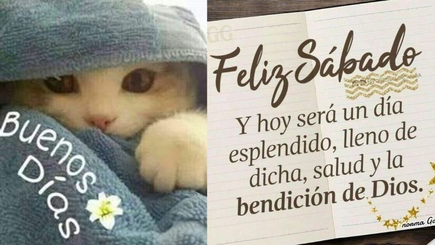 ¡Buenos días! 10 frases positivas para iniciar el día y compartir con tus contactos de WhatsApp