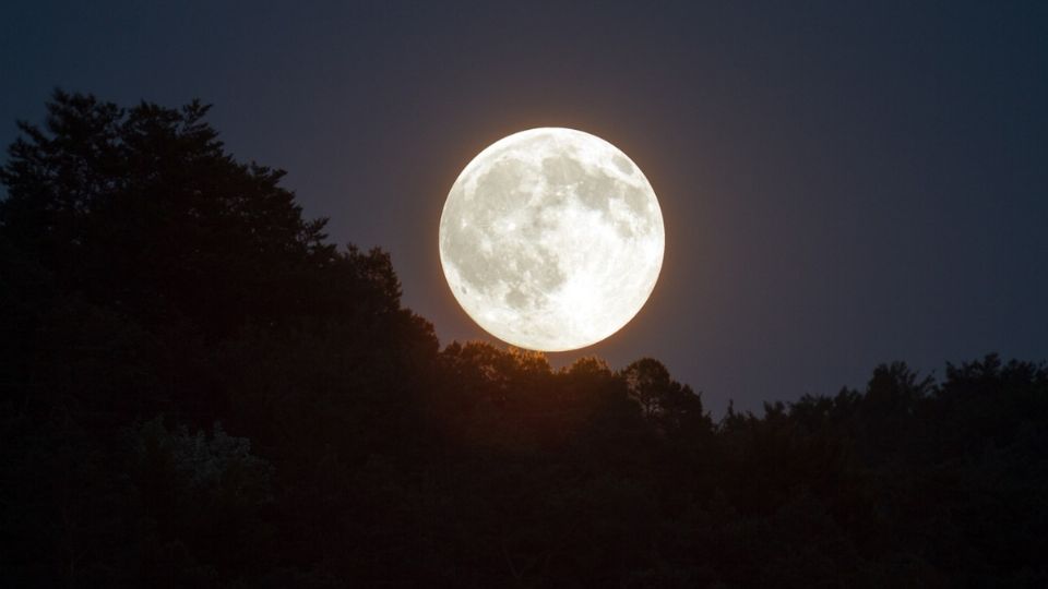 Nepturno estará en su punto más cercano a la Tierra por lo que estará más iluminado por el Sol