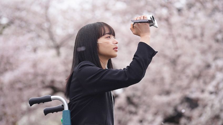 La película japonesa que combina romance y reflexiones profundas que te hará llorar, está en HBO Max