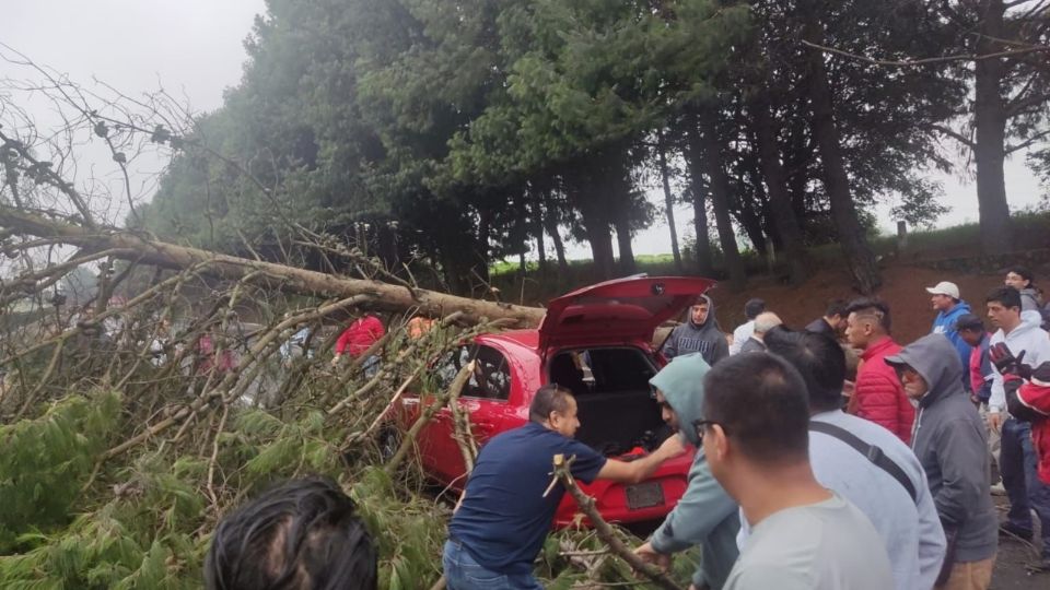 Los automovilistas se unieron