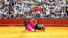 VIDEO: joven muere tras ser embestido por un toro en plena corrida