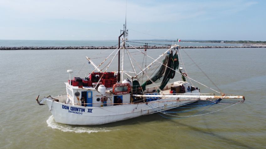 Agonizan flotas camaroneras en Tampico