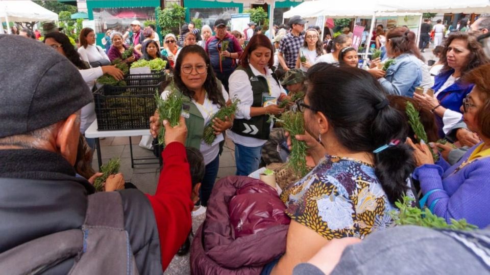 Hasta el 2022 se tenía el registro de 161 huertos comunitarios en CDMX.