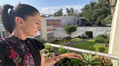 Claudia Sheinbaum muestra a sus seguidores parte de su jardín en casa