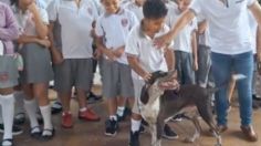 Lomito le da la bienvenida a los niños en el regreso a clases y enloquece las redes: VIDEO