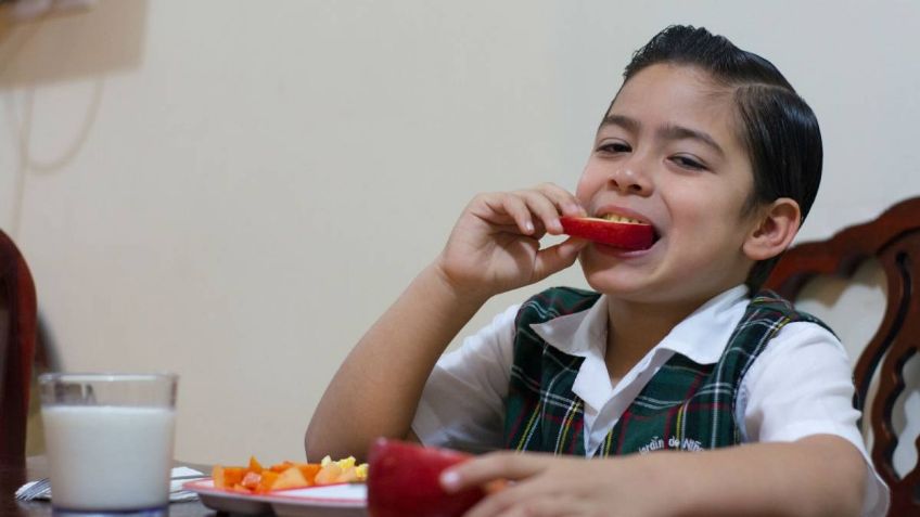 Regreso a clases: 3 alimentos que debes incluir diariamente en la lonchera de tu hijo