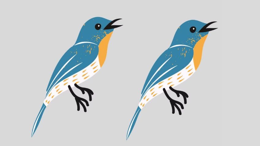 Acertijo visual: sólo los que tienen vista de águila ven las 3 diferencias en la imagen en pocos segundos