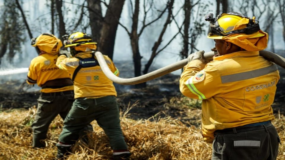 Brigadistas del Suelo de Conservación combatiendo un incendio forestal.