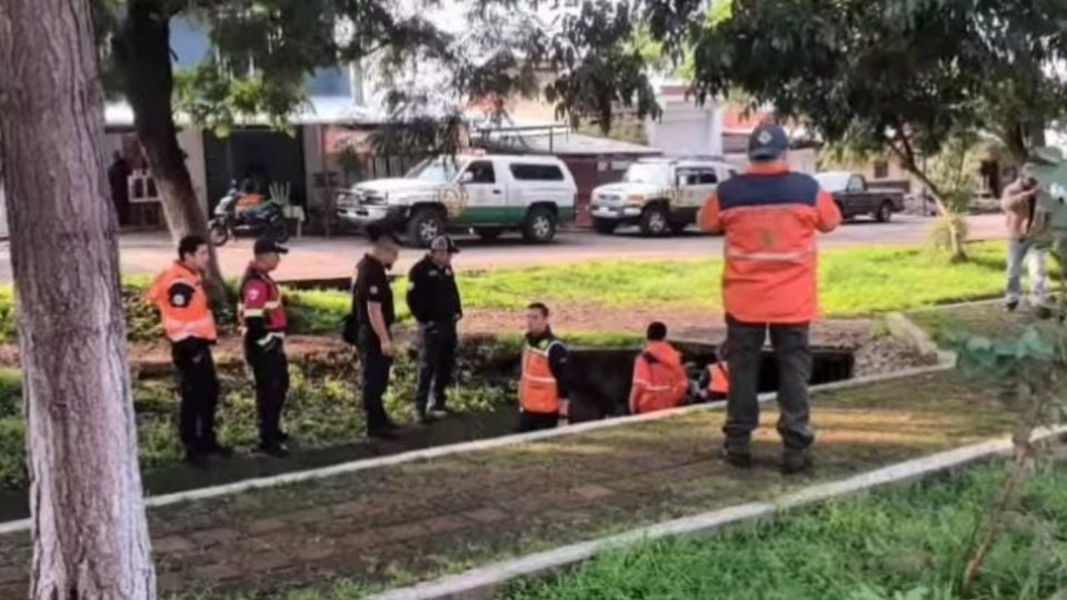 Iniciaron labores de búsqueda en la alcantarilla don de cayó  el meno