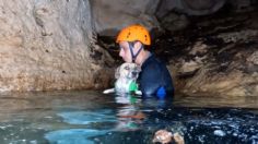 Buzos rescatan a Shakira, una perrita que estuvo atrapada 4 días en un cenote en Yucatán | VIDEO