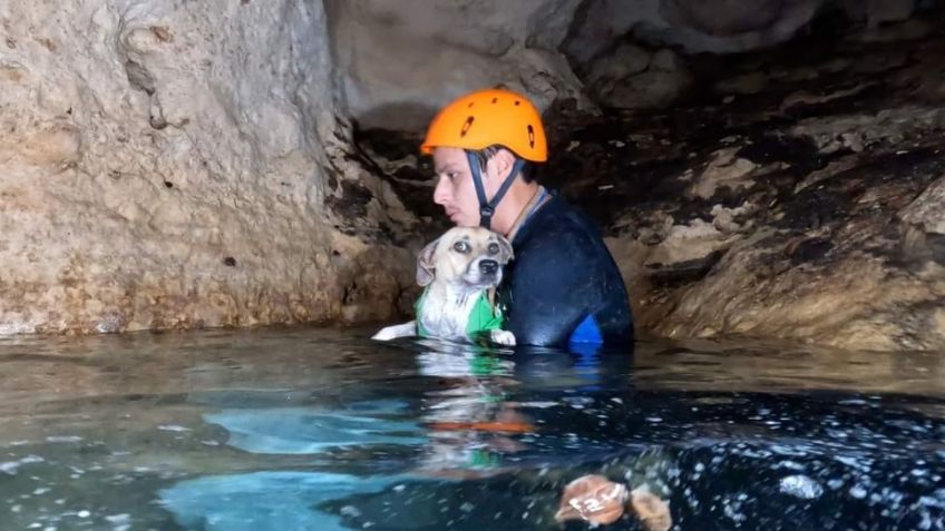 Buzos rescatan a Shakira, una perrita que estuvo atrapada 4 días en un cenote en Yucatán | VIDEO