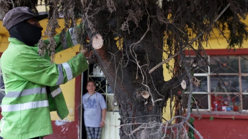 Promueven poda responsable en Torreón y Gómez Palacio para preservar áreas verdes