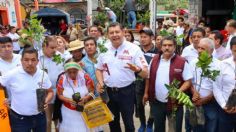 Alejandro Armenta entrega más de mil árboles de limón a pobladores de Ixtepec