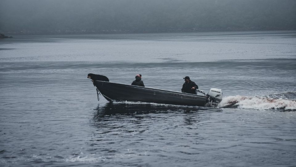 Los voluntarios también planean analizar cualquier movimiento sospechoso en el agua.