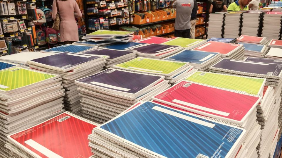 Se estudiaron 29 cuadernos de tamaño profesional tanto plastificados como no plastificados