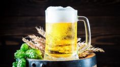 ¿Qué pasa si tomo cerveza todos los días?