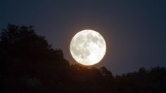 ¿Cómo las fases de la Luna alteran el comportamiento humano, según la ciencia?