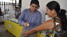 ¿En qué estados se han registrado más casos de dengue? Toma precauciones