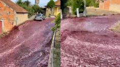 VIDEO: las calles de Portugal se inundan de vino tinto y cibernautas enloquecen