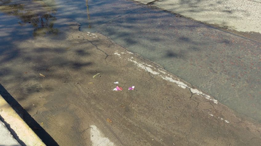 Crisis de sanidad en Potreros del Oeste por brote de aguas negras