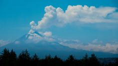 Popocatépetl emite intensa fumarola, Semáforo de Alerta Volcánica se mantiene en Amarillo Fase 2