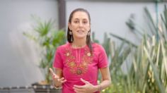 Claudia Sheinbaum respalda la propuesta de AMLO para salvar una zona natural en Playa del Carmen