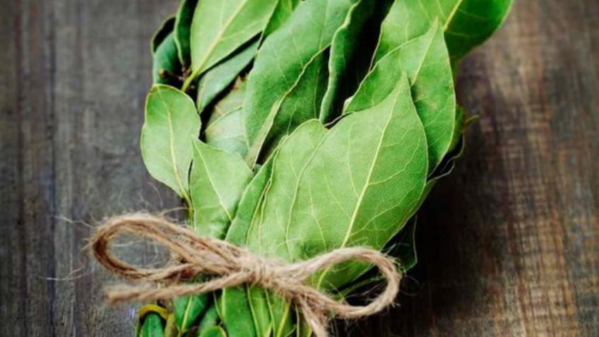 Contén la respiración antes de conocer por qué cada vez más personas colocan hojas de laurel en el horno