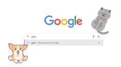 ¿Ya viste qué sucede si googleas las palabras 'gato' y 'perro' en tu ordenador?