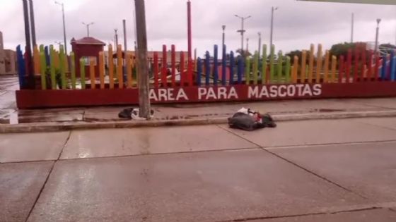 Reportan bolsas con restos humanos en Coatzacoalcos: no hay detenidos