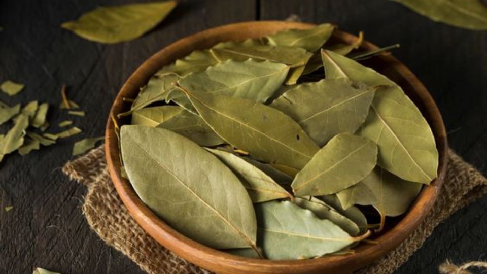 Contén la respiración antes de conocer por qué cada vez más personas colocan hojas de laurel en el baño