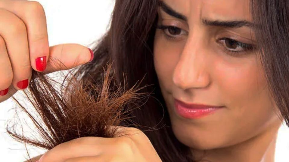 Estas son las mejores fechas para que tu cabello se mantenga sano.