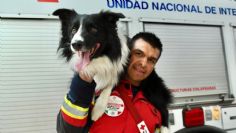 Cruz Roja destaca labor de perritos rescatistas