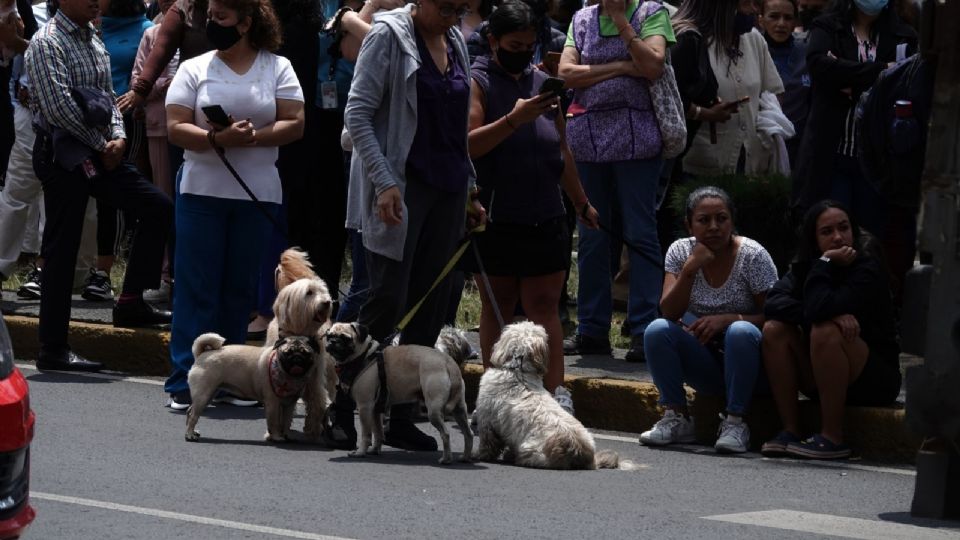 El mejor amigo del hombre también debe estar preparado ante las emergencias