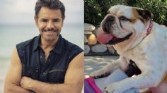 Eugenio Derbez revela si se comprará otro perro, tras la muerte de “Fiona”