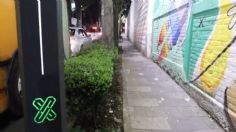 Habilita Sobse CDMX nuevo Sendero Seguro en alcaldía Cuajimalpa