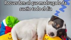 Imágenes de buenos días: pics para mandarle a tu familia por WhatsApp