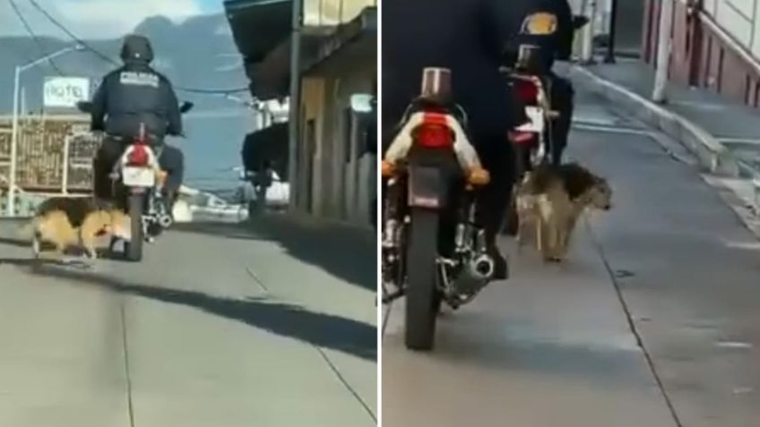 VIDEO: exhiben a policía por arrastrar a un perrito con su motocicleta, exigen ayudar al animal y procesar al responsable